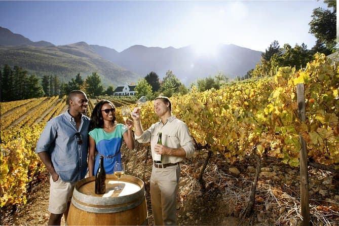 Private Signature Wine Tasting Tour & Culinary Experience tour in Cape Town