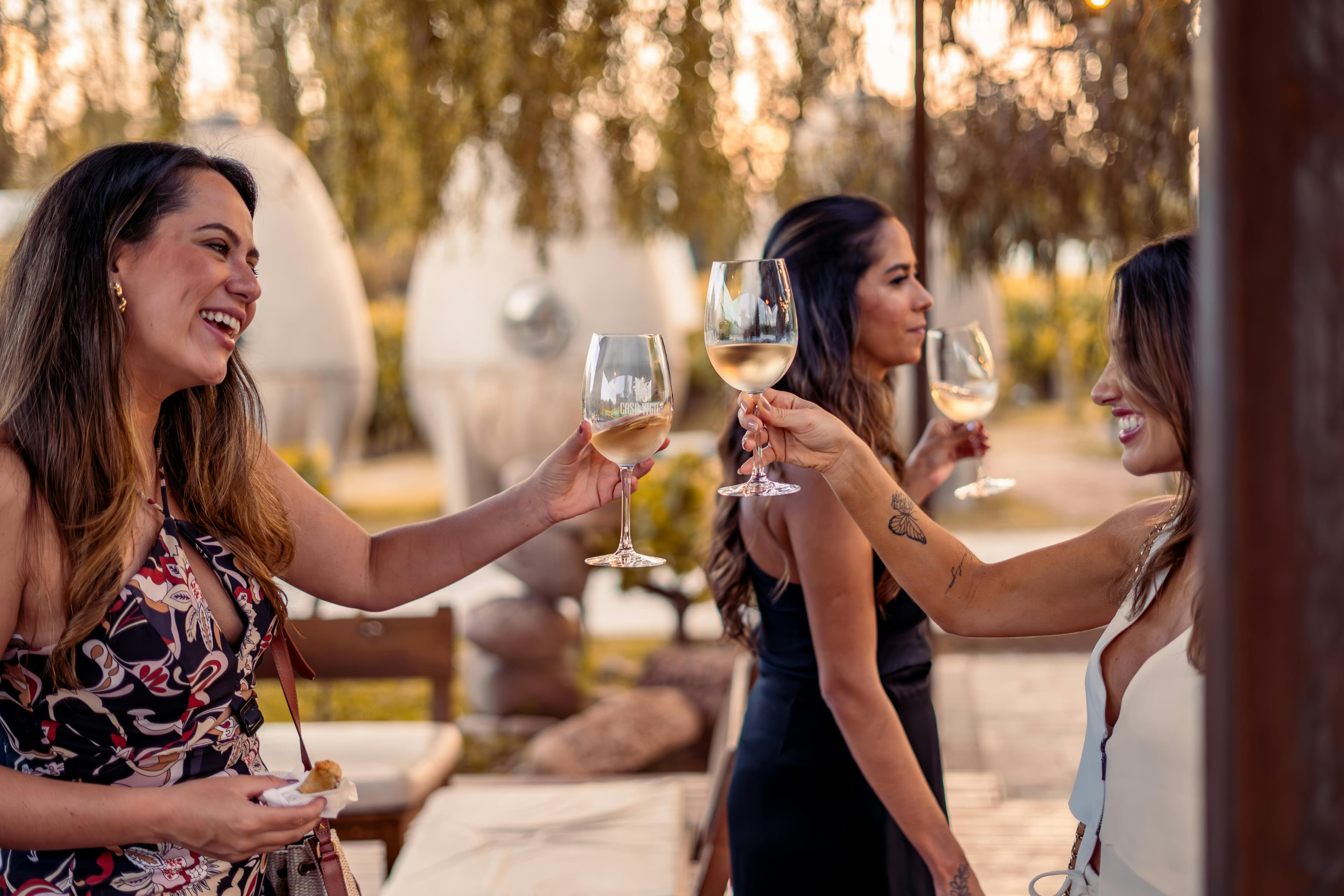 Private Wine Tasting Tour: Visit Stellenbosch, Franschhoek & Paarl tour in Cape Town